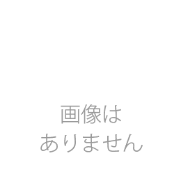 クーパーS アルミホイールセット 4.5J-10" アイボリー