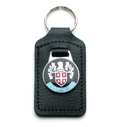 keyfobs austin mini Blue