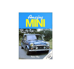 Amazing MINI